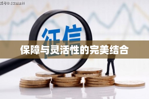 黄龙保障与灵活性的完美结合