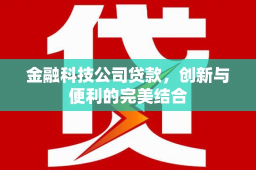 颍泉金融科技公司贷款，创新与便利的完美结合