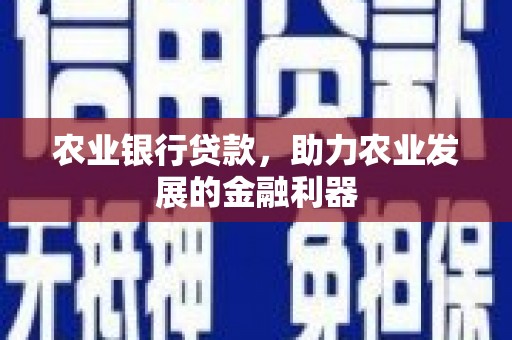 新泰农业银行贷款，助力农业发展的金融利器
