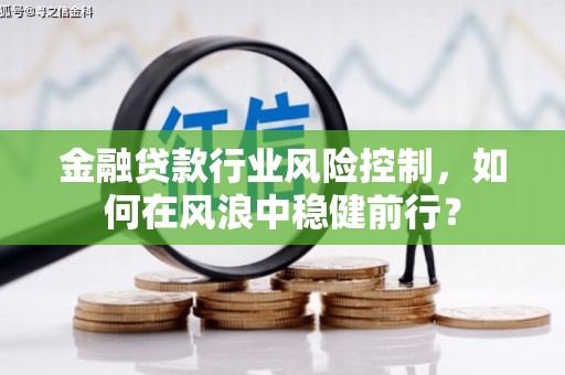 西港金融贷款行业风险控制，如何在风浪中稳健前行？