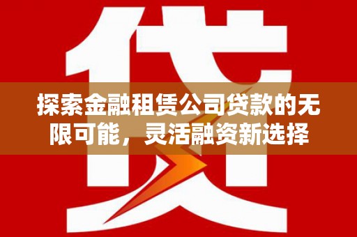 卫滨探索金融租赁公司贷款的无限可能，灵活融资新选择