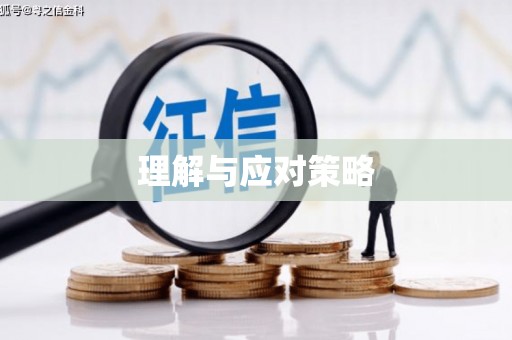 贞丰理解与应对策略
